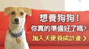 天使養成計劃