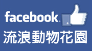 粉絲團